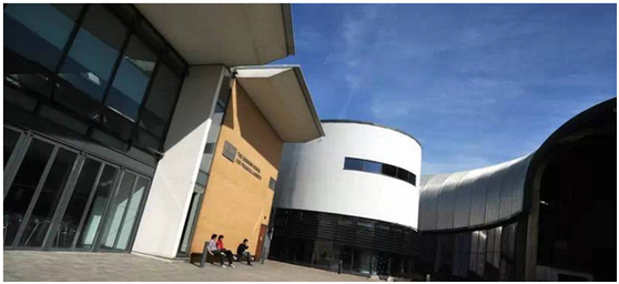 雷丁大學亨利商學院