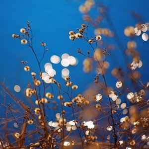 美國留學6個背景提升途徑，哪個更適合你？